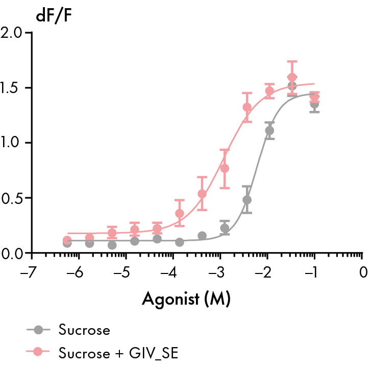 Effects of GIV-SE on sucrose