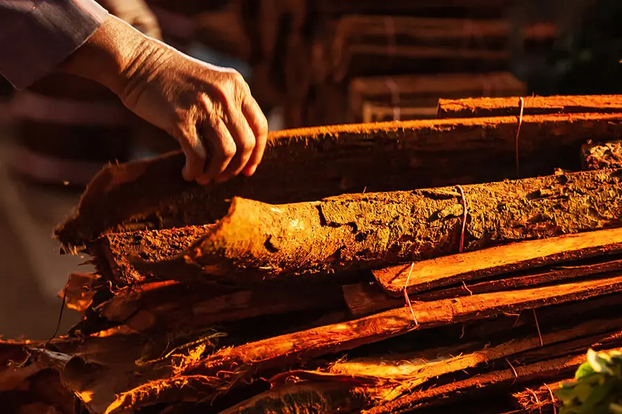 Stacked cinnamon bark