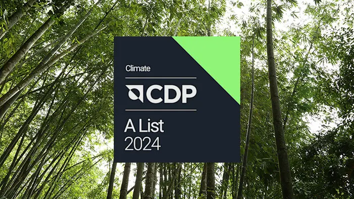 CDP logo on a forest background