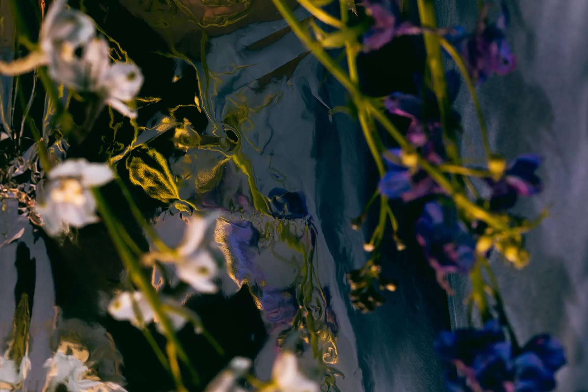 Abstract of purple and white florals