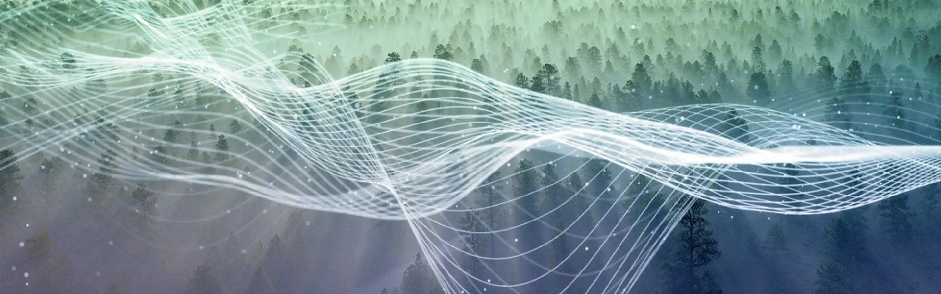 Aerial view of a forest with on top an impression of line waves