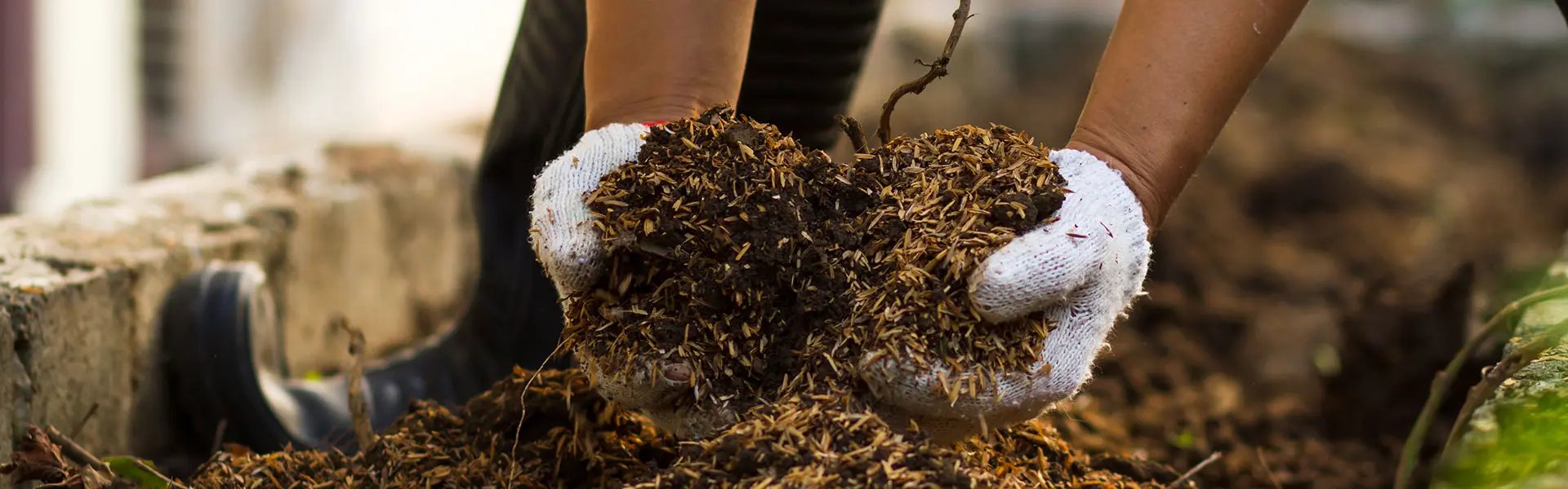 Two hands holding fertiliser created from waste