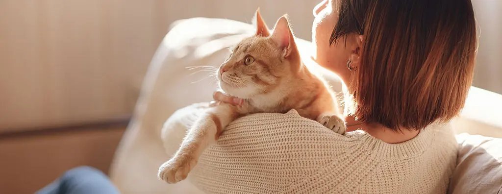 A ginger cat in his mum's arms