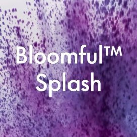 instagram post Explore Bloom in a New Di